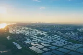 广东菜篮子的千年“乪”“凼”鱼故事图片