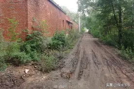 我，49岁的光棍，辞工种田照顾老母，背后的辛酸一言难尽图片