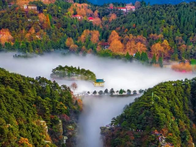 关于公开征选《庐山旅游整体营销及旅游产品开发策划案》的公告