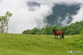 从成都出发，一天内可以来回的景点有哪些？图片