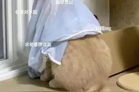 适合发给对象的表情包图片