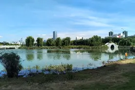 医科大学看病记--手术图片