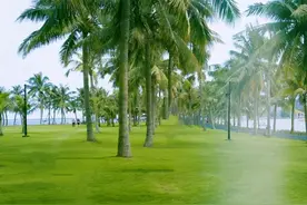 湛江工业100强企业：晨鸣浆纸第4，南国药业第59图片