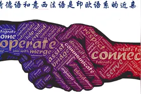 一张图搞清英荷德语和意西法语在印欧语系中的关系图片