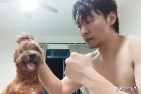 新加坡男子自拍残暴虐狗视频遭严惩监八月图片