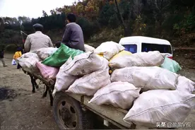 1949至1983年交过公粮挖过渠坝，农民每年能领多少养老金，揭晓下图片