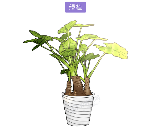 听铅笔写字声起鸡皮疙瘩