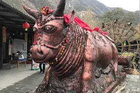 用面粉做成的唐代黄河大铁牛，形态惟妙惟肖，一个月后变成这样图片