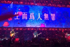 背景图|“我不要鹤立鸡群，我要离开那群鸡”图片