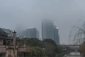 浦东北部的这个小镇太美了图片