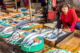 过年买海鱼，聪明人专挑这5种，营养实惠又美味，鱼贩夸你是内行图片