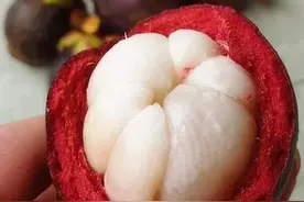 “比起榴梿，我更爱吃山竹”，水果皇后的营养价值原来这么高图片