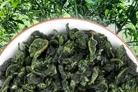 铁观音属于什么茶，红茶还是绿茶？图片