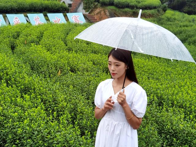 航拍旺苍美丽乡镇，云雾笼罩像是披上了一层轻纱，似仙女下凡