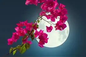 一位情人写给红颜的一段话，感动了许多人图片