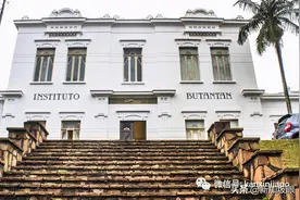 科兴疫苗最新数据：对所有病例保护率近51%、重症为100%图片