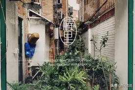 漫步广州东山，老房子爬满青藤，流浪猫散步睡觉舒适自在图片