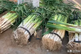 储存大葱：放在地上就错了！教你4个“土方法”，3个月照样新鲜图片