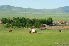 知青岁月，兵团回忆（49）她选调留在了西乌旗，错失了回城图片