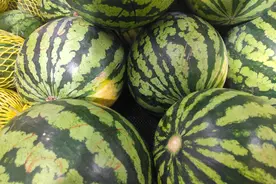 火遍街头的西瓜，摊主为啥切开来卖？吃了这么多年，总算明白了图片