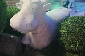 黑龙江第一批通高铁的县域小镇--安达图片
