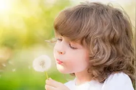 一种生肖一种花 你的生肖是什么花？图片