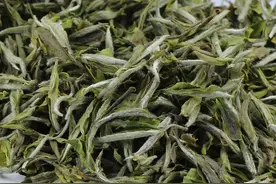 白牡丹存放后每年的香气滋味是怎样的？存放多久口感最好喝？图片