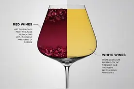 法国国家认证侍酒师 | 教你五分钟掌握餐酒搭配图片