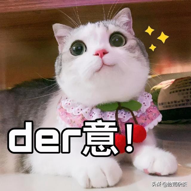 五个冷到打颤的东北冷知识，让你明白原来东北这么有趣
