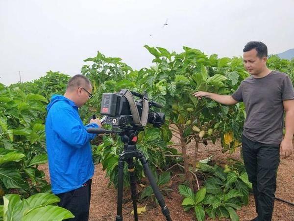 海南农业领军企业---东方嘉品源农业科技开发有限公司