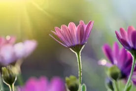 两个人断去联系后，再见已是陌生人图片