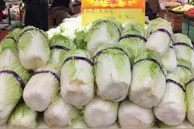 冬储菜开卖！白菜降低损耗的前置操作有哪些？图片