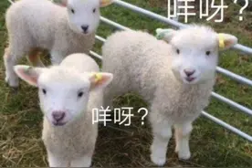 在公司充电被指“薅羊毛”，杭州一小伙在公司蹭电蹭空调结果被辞退图片