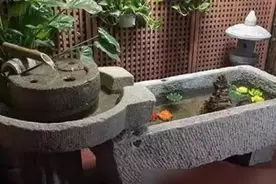 花园里的石槽图片
