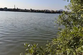 意外上了条大黑鱼，谁知乐极生悲图片