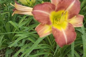 宝贝，有你最甜图