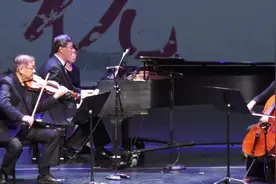 上海音乐学院三重奏凄美的《梁祝》，专业的就是厉害！视频封面