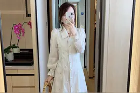 早秋上新，翻领刺绣，泡泡袖连衣裙图片