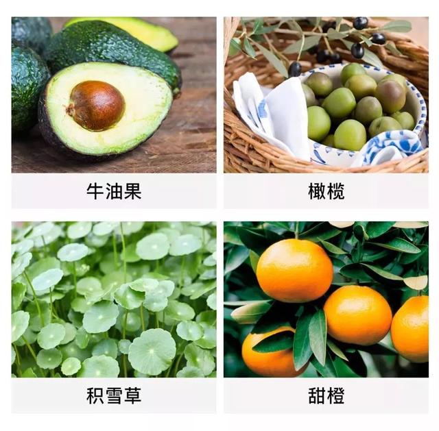 莱凯娜香水身体乳