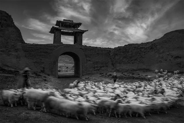 图赏 | 摄影如奇遇,有心得相逢