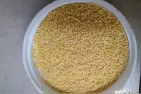 小米的保质期是多久图片