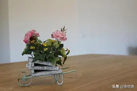 “我玩够了，你娶我吧”前男友：好，只要你答应我两个要求图片