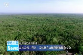 吉林天保工程区：天然林有力保障国家粮食安全图片