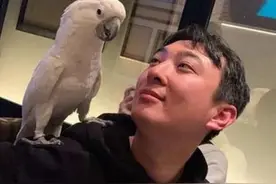 王思聪头破血流头上缝了六针，当年东北撸串被打，与赵本山有关？图片
