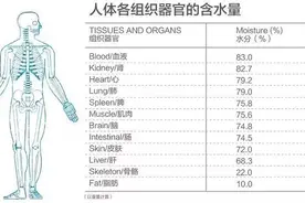 网红便携烧水杯哪款更胜一筹？东菱大宇摩飞乐扣Bruno深度横评图片