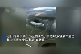 4个孩子划伤45辆豪车，如何避免孩子交到坏朋友，家长都要小心了图片