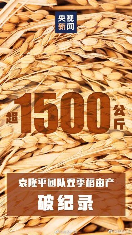 处理尾矿是不是骗局