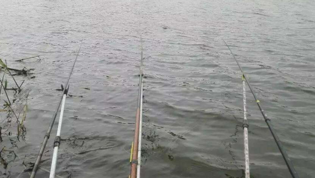 使用鱼饵添加剂，要掌握用量和方法