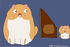 猫在向你撒娇？你可能误会了猫的幼态延续图片