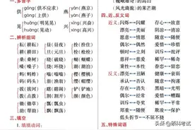 部编版五年级下册语文1～8单元基础知识归类复习，收藏好图片